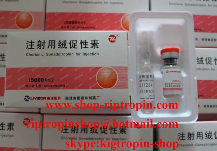 HCG - Livzon HCG 5000iu 10vials and 10 vials water 1 kits Online Shop - Image 2