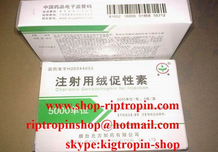 HCG - Livzon HCG 5000iu 10vials and 10 vials water 1 kits Online Shop - Image 3