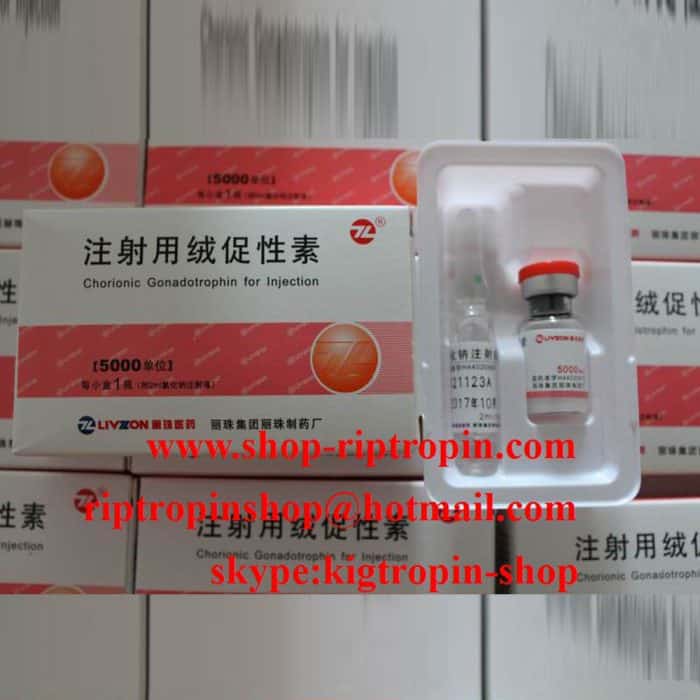 HCG - Livzon HCG 5000iu 10vials and 10 vials water 1 kits Online Shop